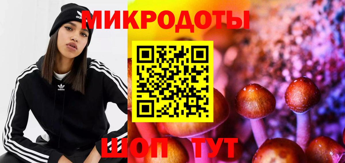 Псилоцибиновые грибы Cubensis Омск