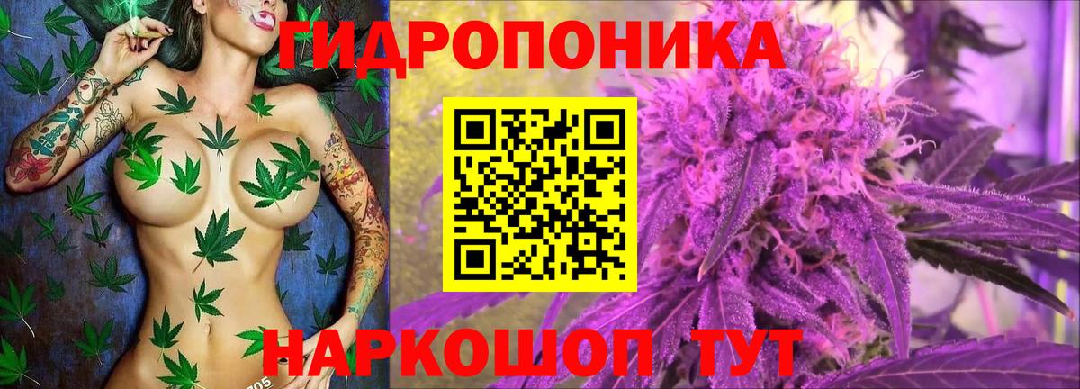 Бошки марихуана индика  Вход с VPN  Марихуана конопля  Конопля AK-47  Шишки марихуана ГИДРОПОН  Омск 